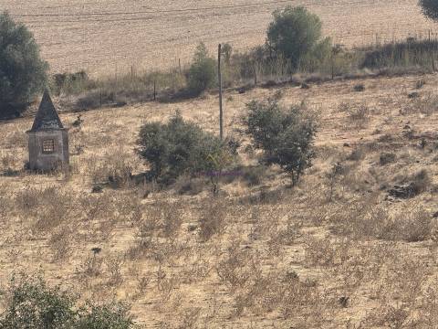Herdade à venda em Montemor-O-Novo