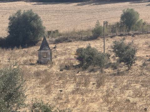 Herdade à venda em Montemor-O-Novo