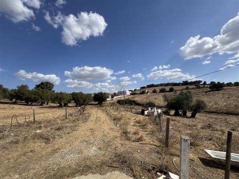 Herdade à venda em Montemor-O-Novo