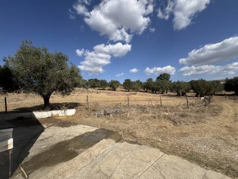 Herdade à venda em Montemor-O-Novo
