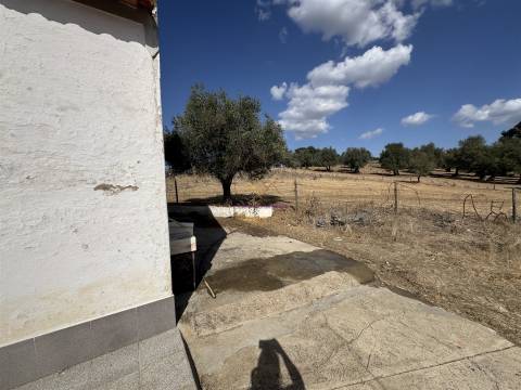 Herdade à venda em Montemor-O-Novo