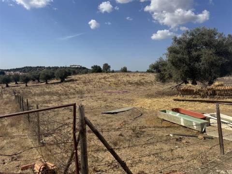 Herdade à venda em Montemor-O-Novo