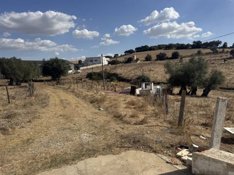 Herdade à venda em Montemor-O-Novo