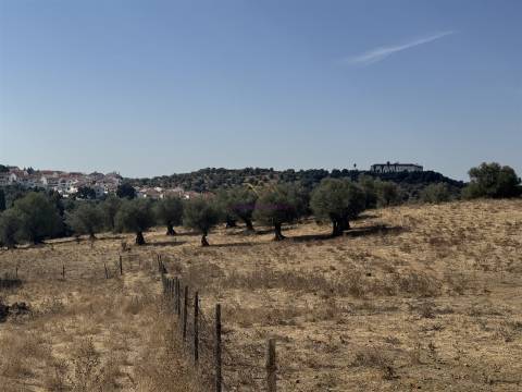Herdade à venda em Montemor-O-Novo