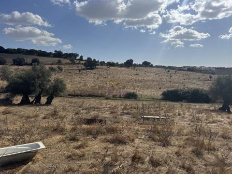 Herdade à venda em Montemor-O-Novo