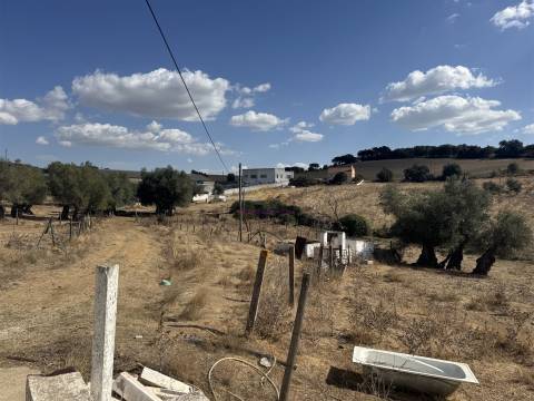 Herdade à venda em Montemor-O-Novo