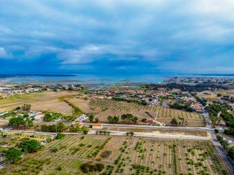 Quinta Exclusiva para venda na Mourisca – Setúbal