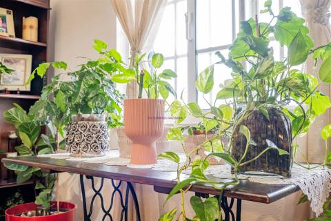 Quinta Exclusiva para venda na Mourisca – Setúbal