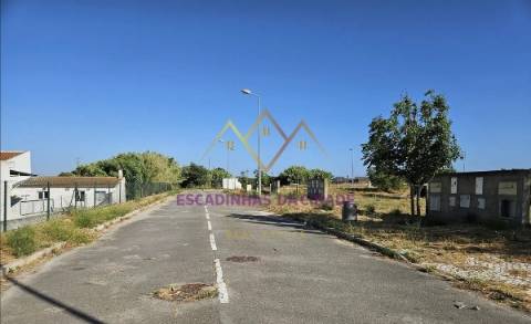 Viva no Montijo. Viva nas Casas da Broega.