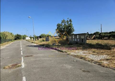 Viva no Montijo. Viva nas Casas da Broega.