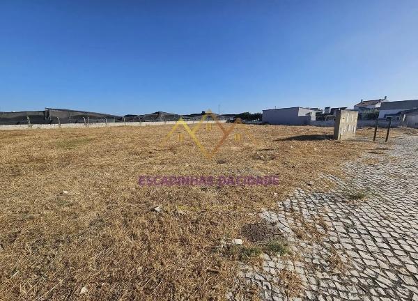 Viva no Montijo. Viva nas Casas da Broega.