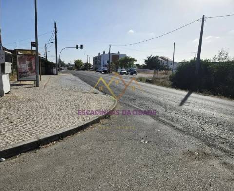 Viva no Montijo. Viva nas Casas da Broega.