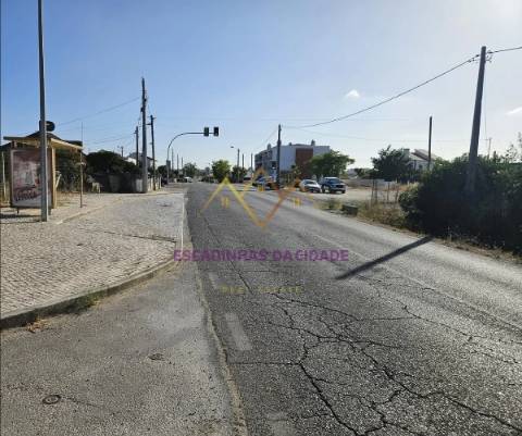 Viva no Montijo. Viva nas Casas da Broega.