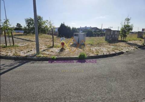 Viva no Montijo. Viva nas Casas da Broega.