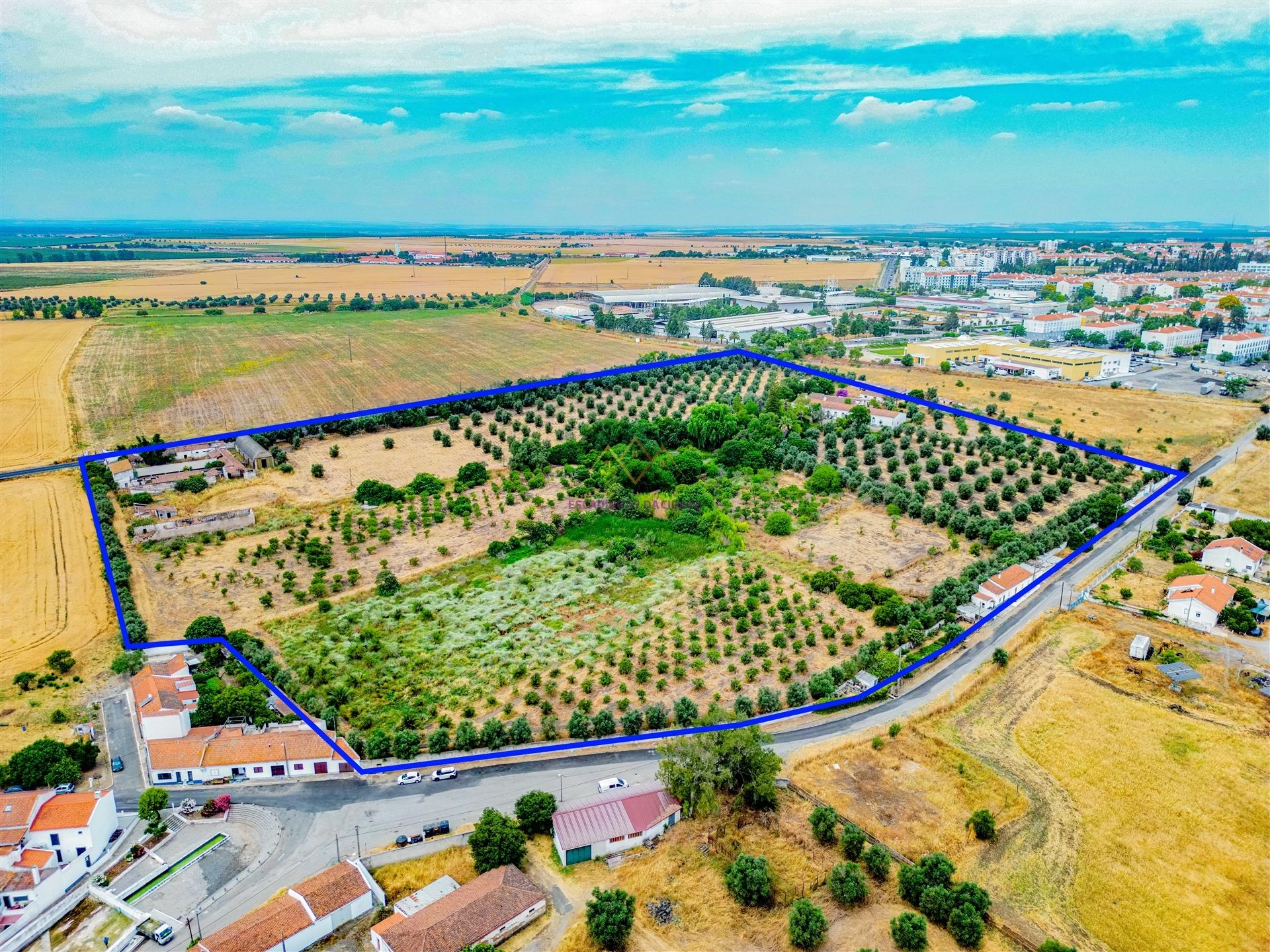 Propriedade única em Beja