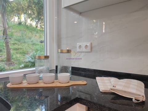 Apartamento T2 totalmente remodelado em Benfica
