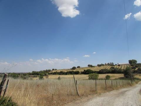 Terreno para construção