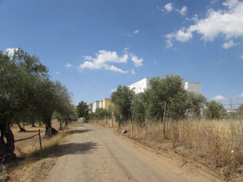 Terreno para construção