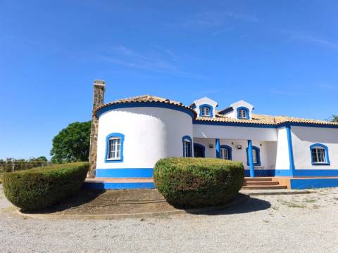 Quinta T3 com piscina