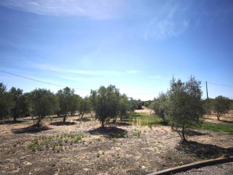 Quinta T3 com piscina