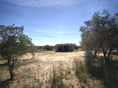 Quinta T3 com piscina