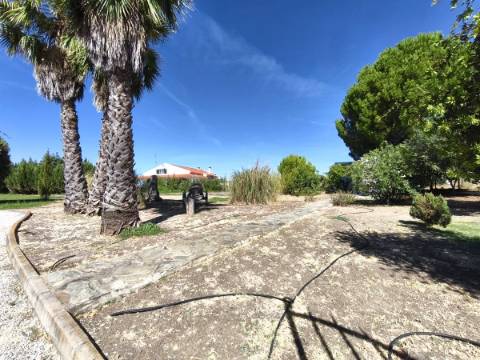 Quinta T3 com piscina