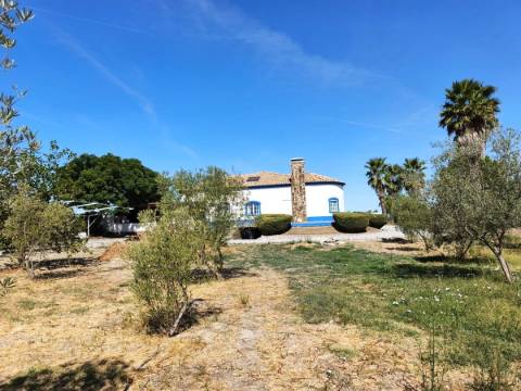 Quinta T3 com piscina