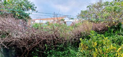 Apartamento T2 com jardim para arrendamento em Porto Salvo, Oeiras