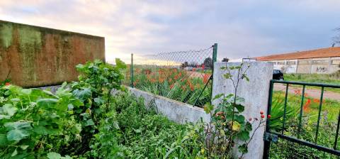 Apartamento T2 com jardim para arrendamento em Porto Salvo, Oeiras