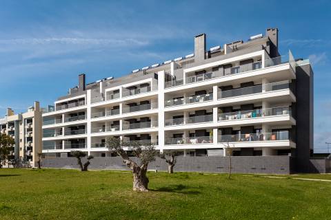 Montijo como novo Pinus T3 de Luxo
