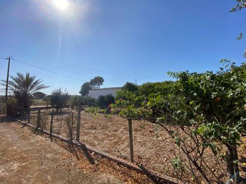 Quinta com moradia T4, Garagem, Vários anexos