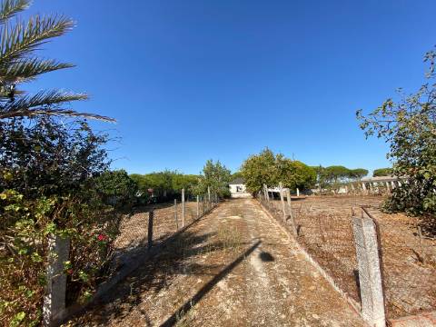 Quinta com moradia T4, Garagem, Vários anexos