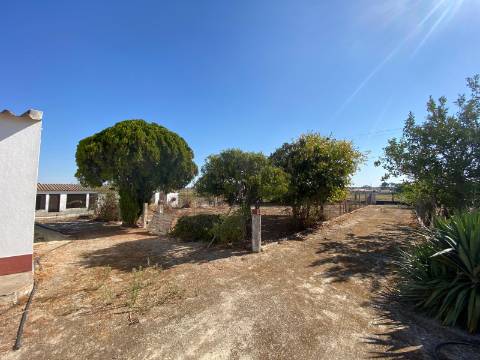 Quinta com moradia T4, Garagem, Vários anexos