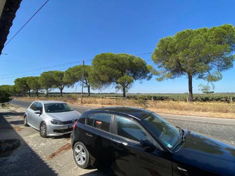 Quinta com moradia T4, Garagem, Vários anexos