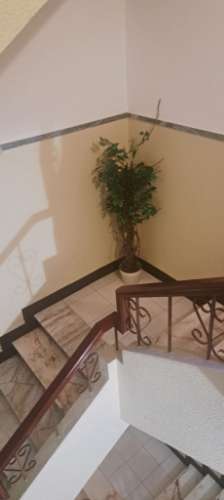 T3 Usado em remodelação