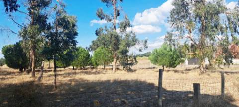 Terreno para moradia