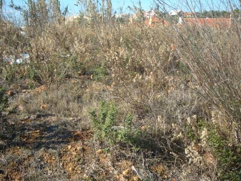 Excelente localização em zona comercial