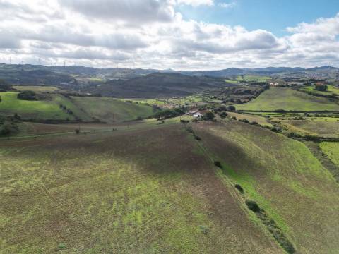 Quinta com 32 hectares - Torres Vedras