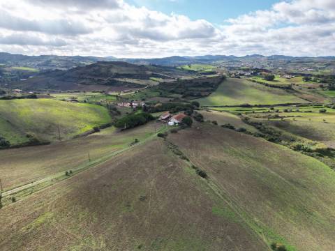 Quinta com 32 hectares - Torres Vedras