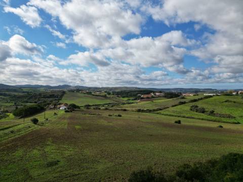 Quinta com 32 hectares - Torres Vedras