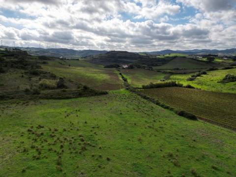 Quinta com 32 hectares - Torres Vedras