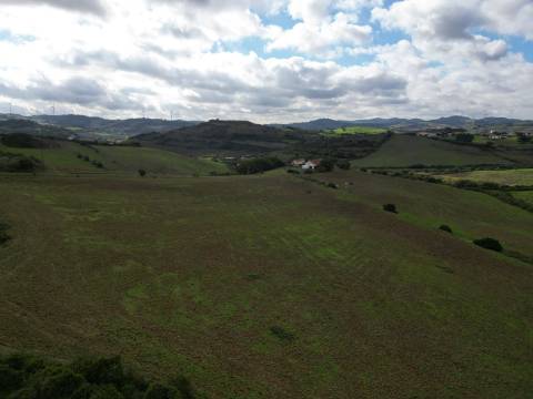 Quinta com 32 hectares - Torres Vedras