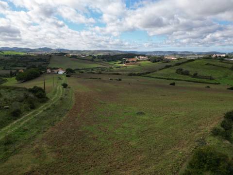 Quinta com 32 hectares - Torres Vedras