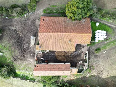 Quinta com 32 hectares - Torres Vedras