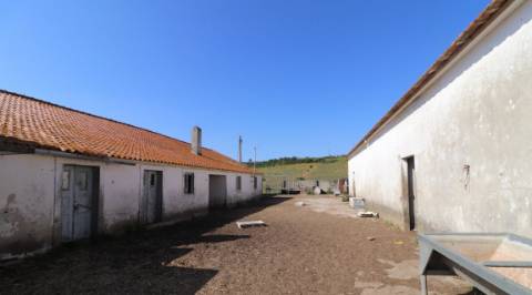 Quinta com 32 hectares - Torres Vedras
