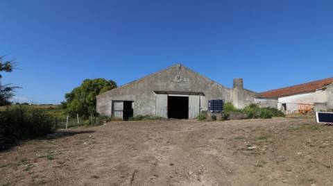 Quinta com 32 hectares - Torres Vedras