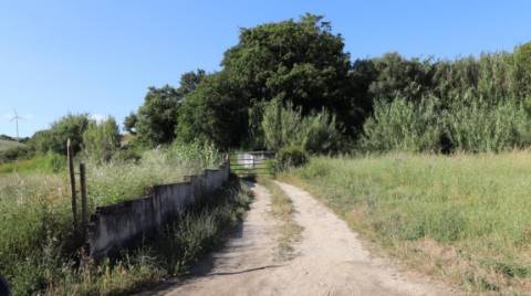 Quinta com 32 hectares - Torres Vedras