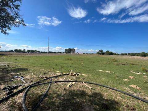 Terreno Urbano - Samora Correia