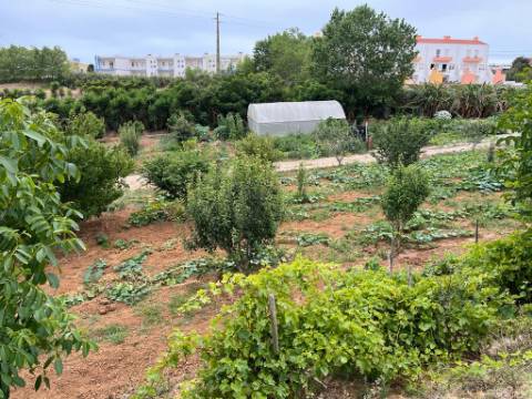 Lote com PROJETO APROVADO - Lourinhã