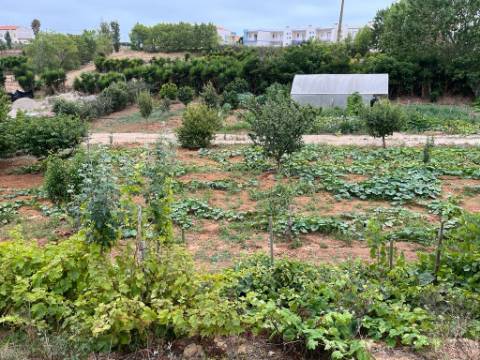 Lote com PROJETO APROVADO - Lourinhã